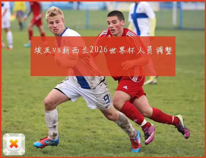 埃及vs新西兰2026世界杯人员调整