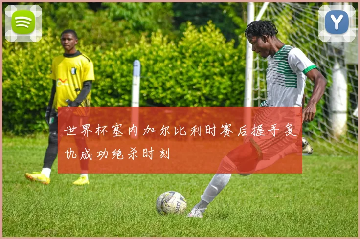 世界杯塞内加尔比利时赛后握手复仇成功绝杀时刻