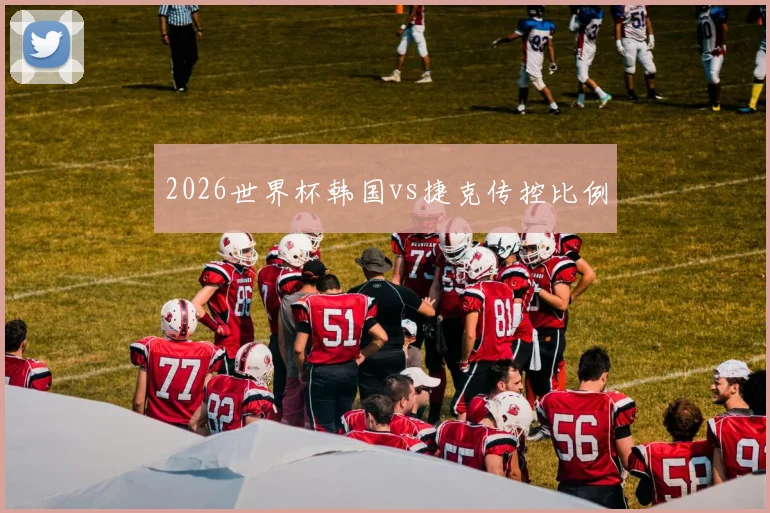 2026世界杯韩国vs捷克传控比例